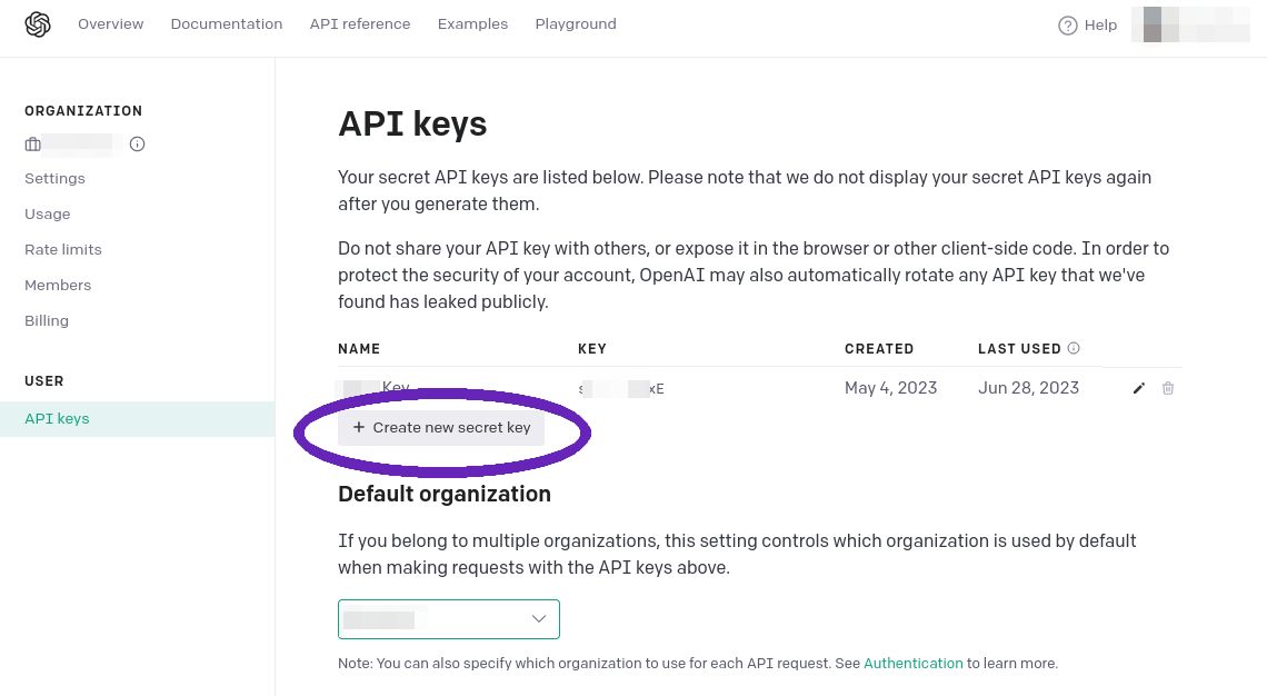 OpenAI API Keys page